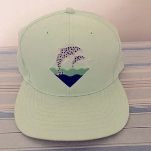 Pink Dolphin hat